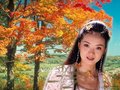 王艳座驾