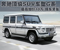 奔驰G级 奔驰(进口) G系图片