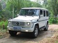 奔驰G级 奔驰(进口) G系 G500图片
