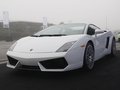 Gallardo 蘭博基尼 Gallardo LP560-4圖片