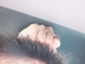 日产370Z 日产(进口) 日产370Z图片