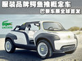 雪铁龙C2 东风雪铁龙 C2 2010款图片