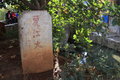 锐界(海外) 福特(进口) 锐界图片
