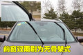 科雷傲（进口） 雷诺 科雷傲 2010款图片