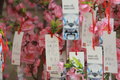 EfficientDynamics 宝马(进口) Vision EfficientDynamics 概念车图片