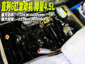 碧蓮 日產(chǎn)(進(jìn)口) 碧蓮圖片