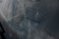 宝马X5(进口) 宝马(进口) 宝马新X5图片