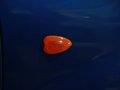 海马王子 海马汽车 海马王子 车展图片