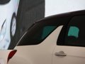 Ds3 车展
