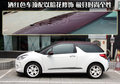 DS 3 雪铁龙(进口) Ds3图片