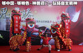 奇瑞A3 奇瑞 新A3 三厢图片
