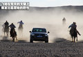 途锐 大众(进口) 途锐 2011款图片