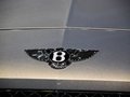 宾利 新Continental GT