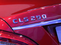 奔驰(进口) CLS 2010款