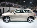 奧迪Q5 奧迪 Q5 2011款圖片