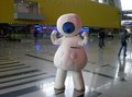 奥迪Q5 奥迪 Q5 2011款图片