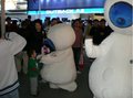 奥迪Q5 奥迪 Q5 2011款图片