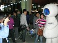 奥迪Q5 奥迪 Q5 2011款图片