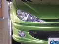 標致206 東風標致 206圖片
