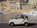 smart fortwo 精灵Smart fortwo 电动车图片