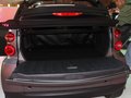 smart fortwo 精靈Smart fortwo啞光銀-敞篷版圖片