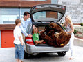 smart fortwo 精灵Smart fortwo图片