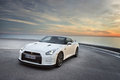 日产GT-R 日产(进口) 日产GTR 2012款图片