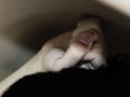 现代(进口) 新雅尊 车展
