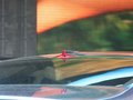 马自达(进口) 马自达Mazda SHINARI概念车 车展