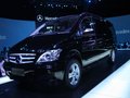 唯雅諾 [F]-福建戴姆勒-奔馳 唯雅諾Vinao 2011款 車展圖片