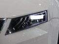 斯柯达(进口) VISION D 概念车 车展