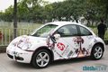 大众(进口) 甲壳虫beetle 其它图
