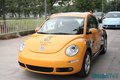 大众(进口) 甲壳虫beetle 其它图