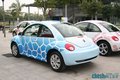 大众(进口) 甲壳虫beetle 其它图