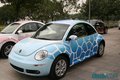 大众(进口) 甲壳虫beetle 其它图