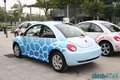 大众(进口) 甲壳虫beetle 其它图