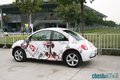 大众(进口) 甲壳虫beetle 其它图