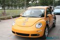 大众(进口) 甲壳虫beetle 其它图