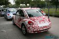 大众(进口) 甲壳虫beetle 其它图