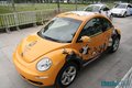 大众(进口) 甲壳虫beetle 其它图