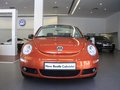 大众(进口) 甲壳虫beetle