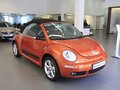 大众(进口) 甲壳虫beetle
