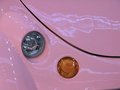 甲殼蟲 比德文電動(dòng)車圖片