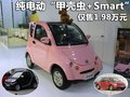 甲殼蟲 比德文電動車圖片