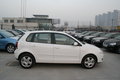 Polo 图片