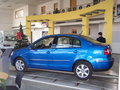 Polo 图片
