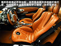 Zonda Pagani Zonda图片