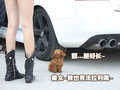 F430 法拉利 F430图片