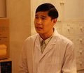 酷熊 小沈阳图片