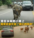 宝马X5(进口) 宝马(进口) 新X5图片